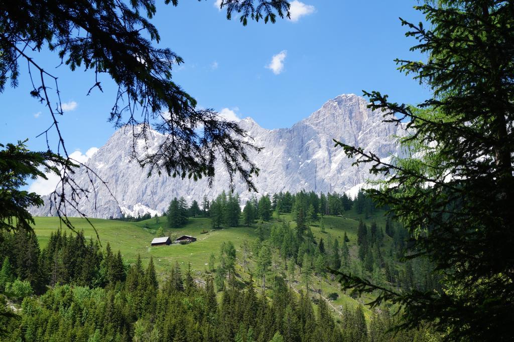 Haus Latschenheim Apartment Ramsau am Dachstein Luaran gambar
