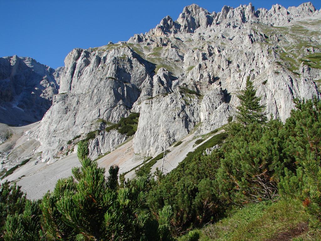Haus Latschenheim Apartment Ramsau am Dachstein Luaran gambar