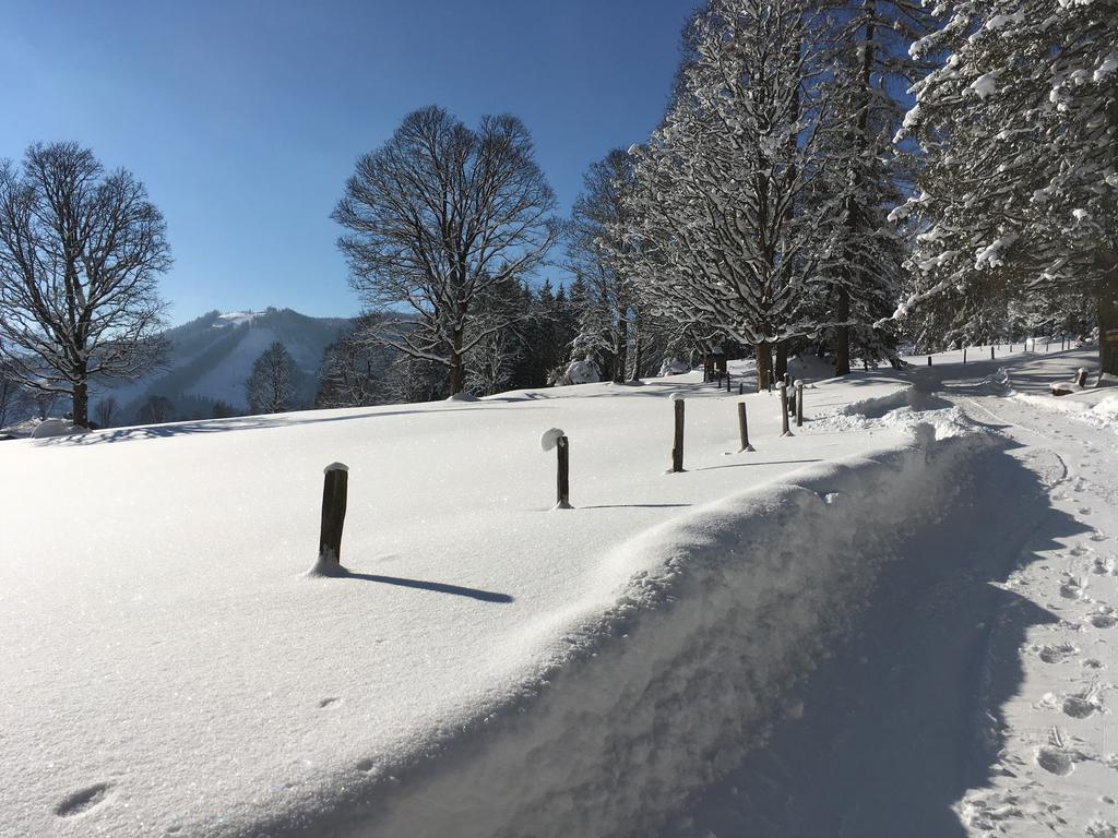 Haus Latschenheim Apartment Ramsau am Dachstein Luaran gambar
